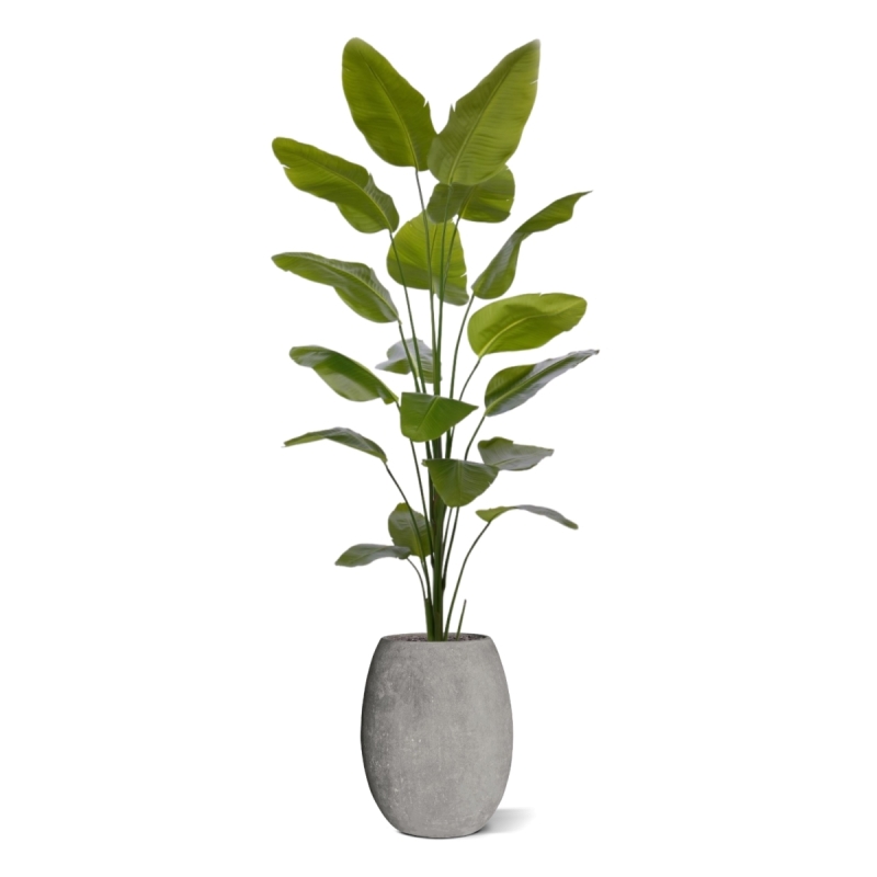 Pianta artificiale di Strelitzia Nicolai 225cm