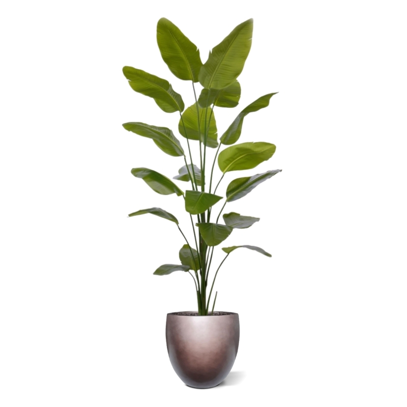 Pianta artificiale di Strelitzia Nicolai 225cm