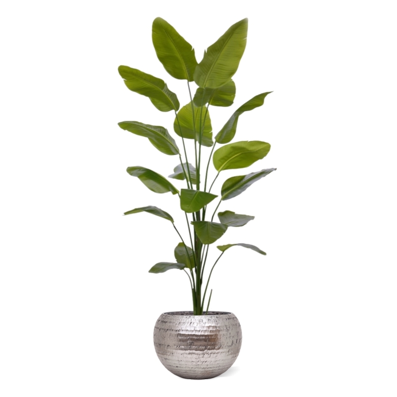 Pianta artificiale di Strelitzia Nicolai 225cm