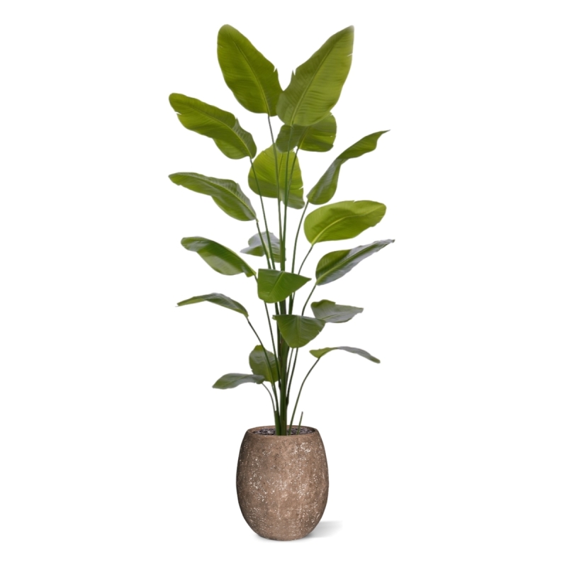 Pianta artificiale di Strelitzia Nicolai 225cm
