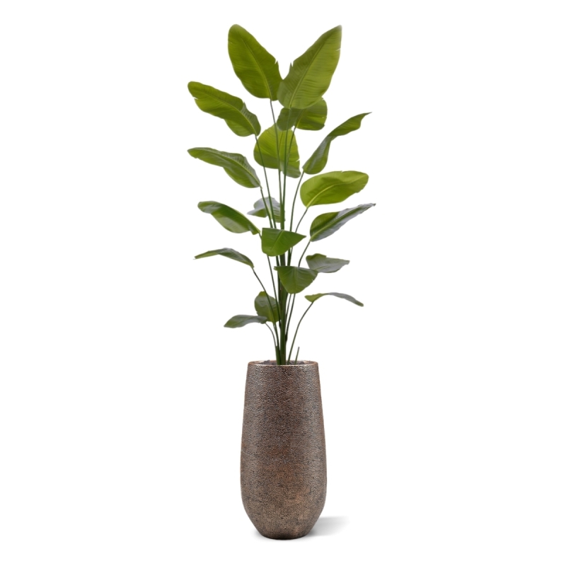 Pianta artificiale di Strelitzia Nicolai 225cm