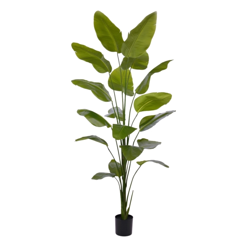 Pianta artificiale di Strelitzia Nicolai 225cm