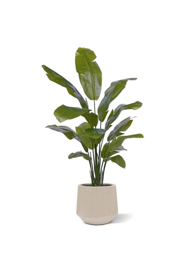 Palma viaggiatrice artificiale promo 160cm