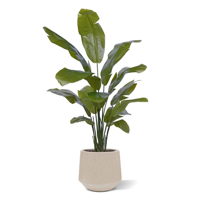 Palma viaggiatrice artificiale promo 160cm