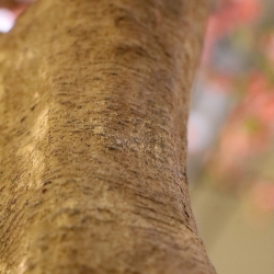 Albero dei fiori gigante deluxe 275 cm