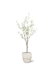 Albero in Fiore Artificiale 150cm Crema