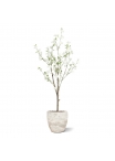 Albero in Fiore Artificiale 150cm Crema
