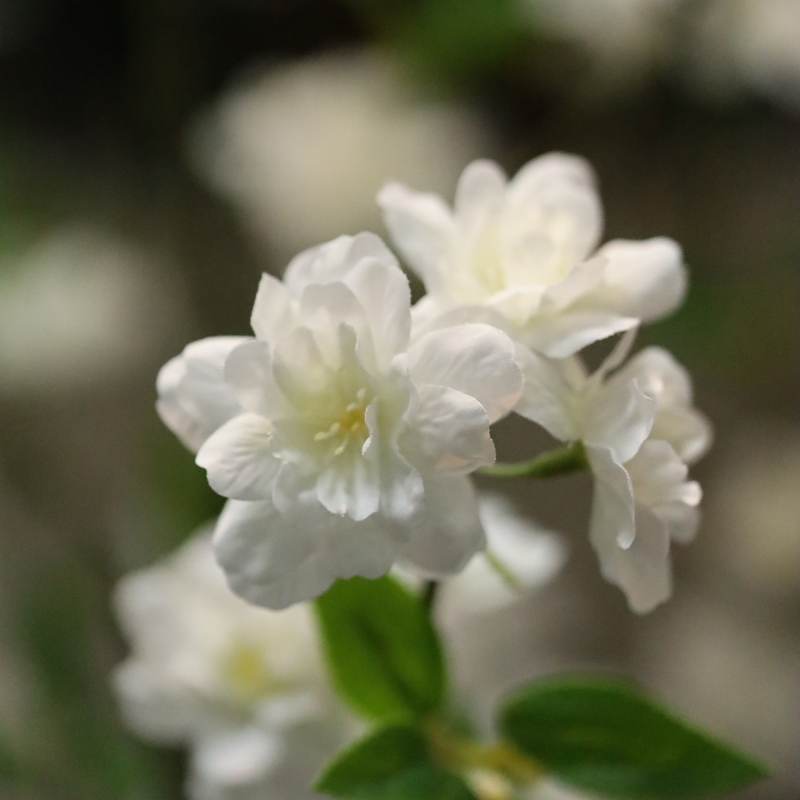 Albero in Fiore Artificiale 150cm Crema