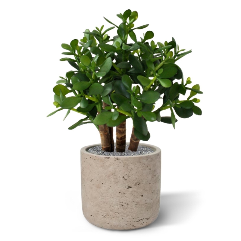 Crassula artificiale 40 cm