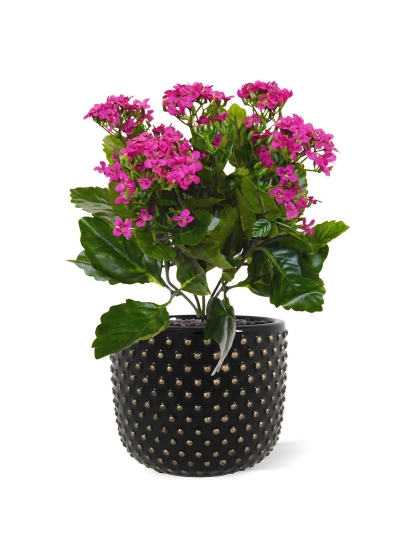 Pianta artificiale di Kalanchoe 30 cm - viola