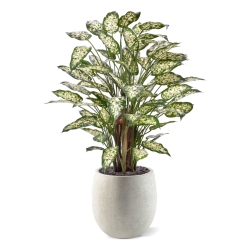 Dieffenbachia Artificiale 110cm Deluxe