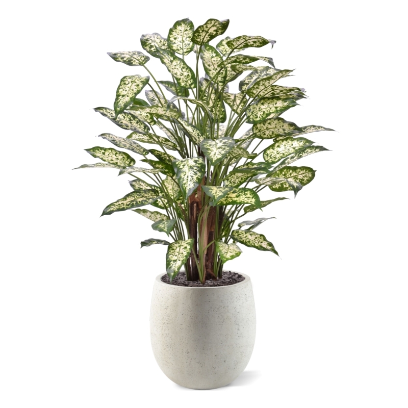 Dieffenbachia Artificiale 110cm Deluxe