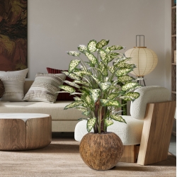 Dieffenbachia Artificiale 110cm Deluxe