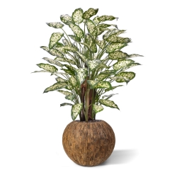 Dieffenbachia Artificiale 110cm Deluxe