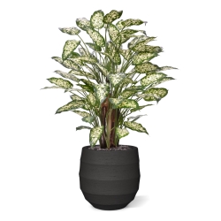 Dieffenbachia Artificiale 110cm Deluxe