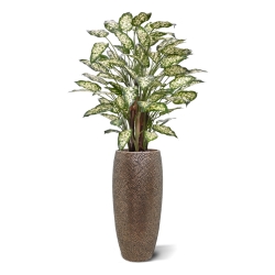 Dieffenbachia Artificiale 110cm Deluxe