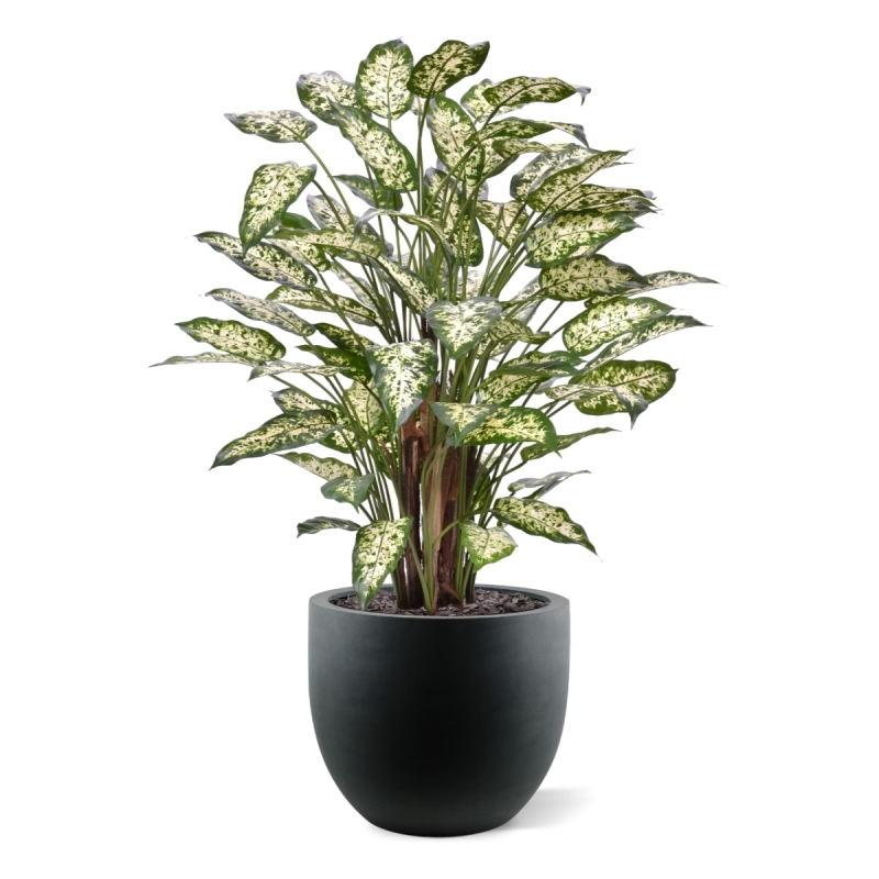 Dieffenbachia Artificiale 110cm Deluxe