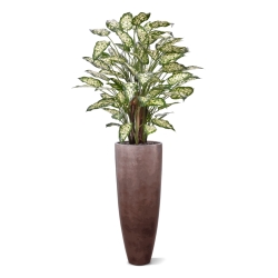 Dieffenbachia Artificiale 110cm Deluxe