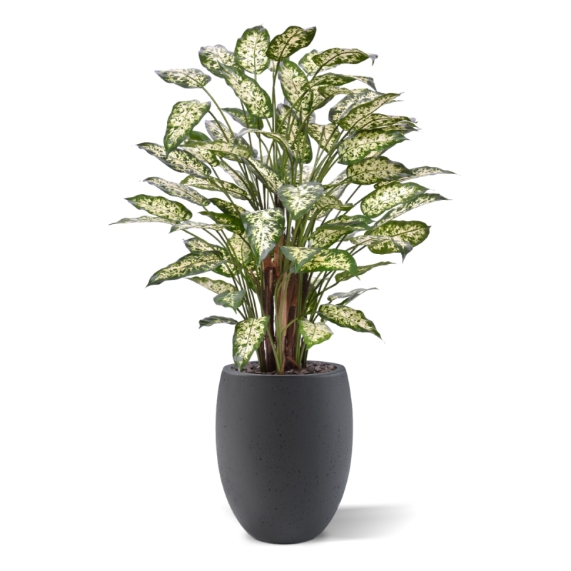 Dieffenbachia Artificiale 110cm Deluxe