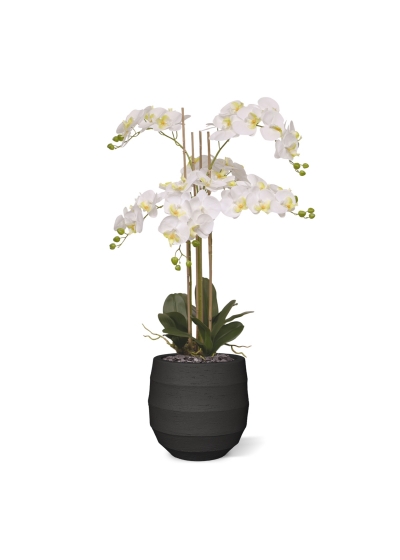 Orchidea artificiale Phalaenopsis 95 cm bianca