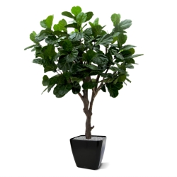 Albero artificiale di Lyrata gigante di 260 cm di tronco