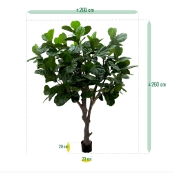 Albero artificiale di Lyrata gigante di 260 cm di tronco