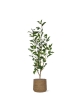Ficus Exotica NT Artificiale 100cm