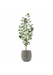 Ficus Exotica NT Artificiale 120cm