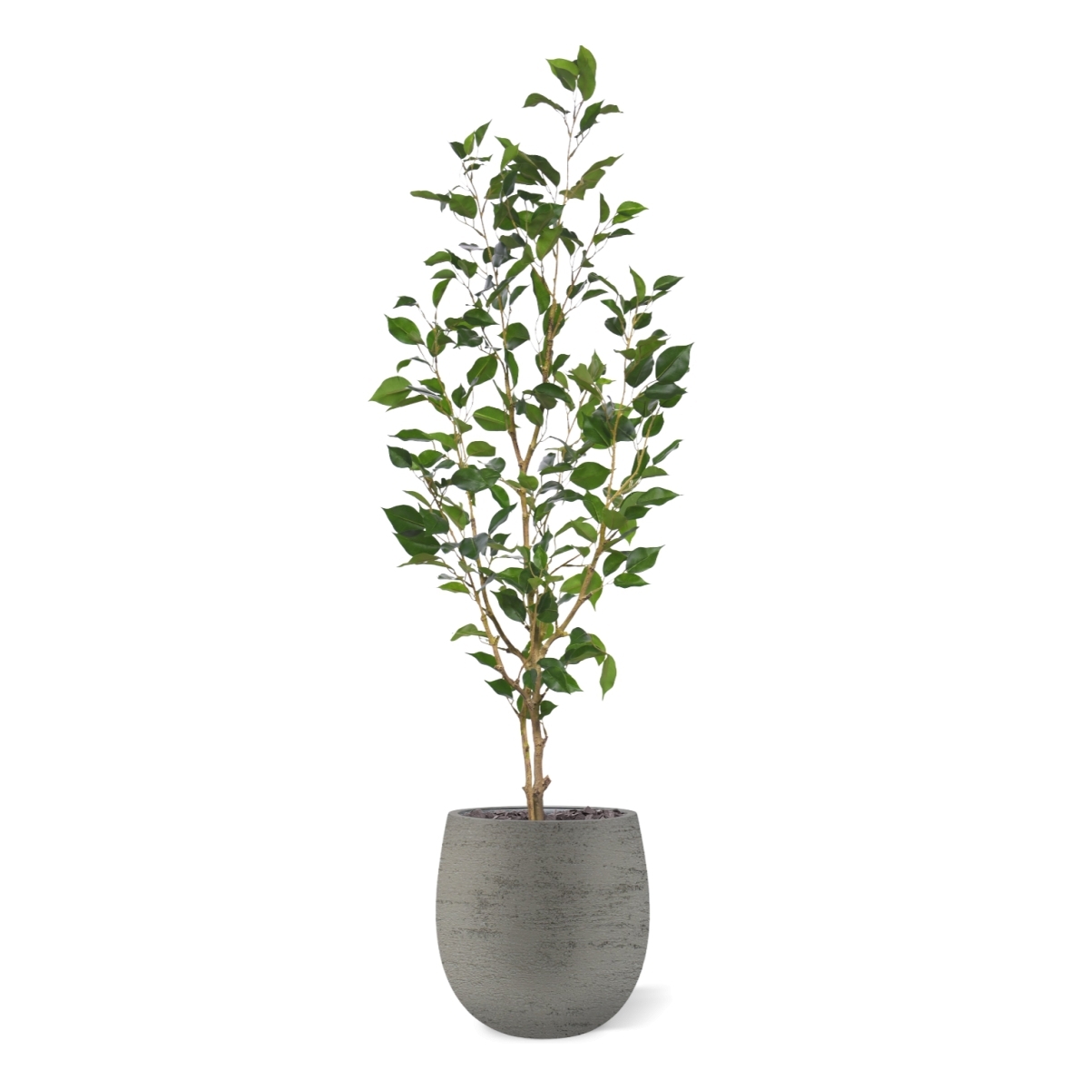 Ficus Exotica NT Artificiale 120cm