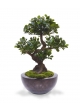 Panda Bonsai artificiale su base 70 cm
