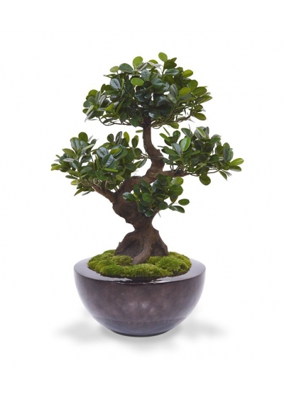 Panda Bonsai artificiale su base 70 cm