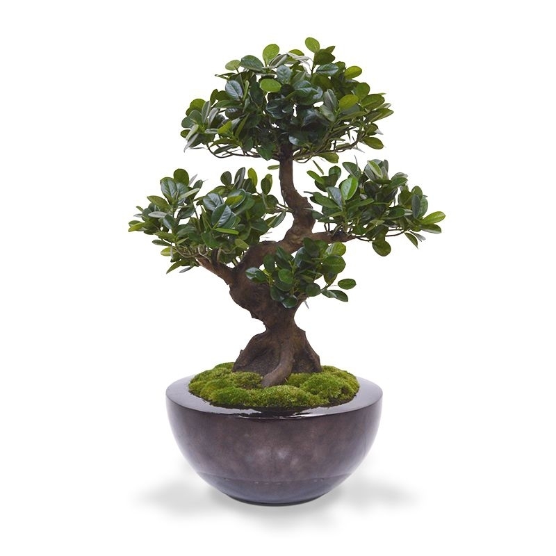 Panda Bonsai artificiale su base 70 cm