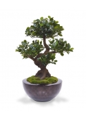 Panda Bonsai artificiale su base 70 cm