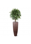 Albero artificiale Longifolia XL deluxe 120 cm