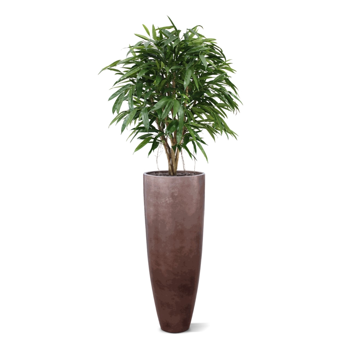 Albero artificiale Longifolia XL deluxe 120 cm