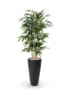 Albero di bambù artificiale 150 cm