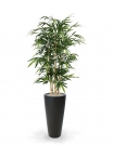 Albero di bambù artificiale 150 cm