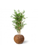 Pianta artificiale di bamb&ugrave; giapponese 120 cm - resistente ai raggi UV