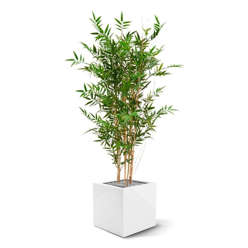 Pianta artificiale di bambù giapponese 120 cm - resistente ai raggi UV