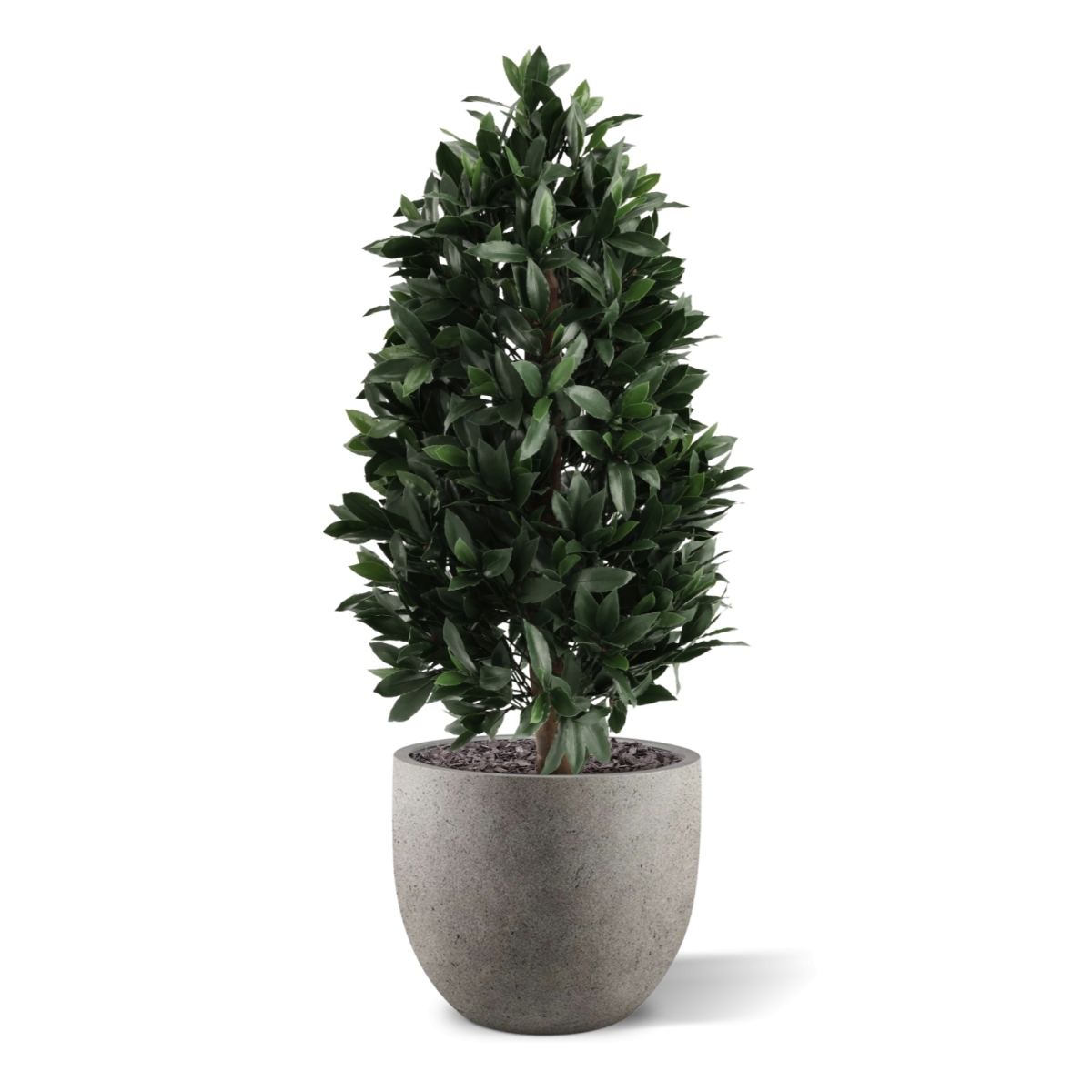 Piramide di Alloro Artificiale 105cm UV Deluxe