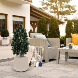 Piramide di Alloro Artificiale 105cm UV Deluxe