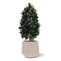 Piramide di Alloro Artificiale 105cm UV Deluxe