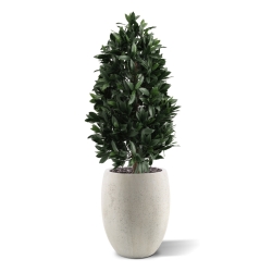 Piramide di Alloro Artificiale 105cm UV Deluxe