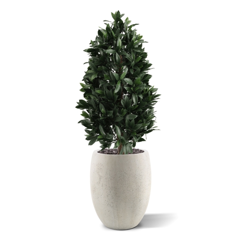 Piramide di Alloro Artificiale 105cm UV Deluxe