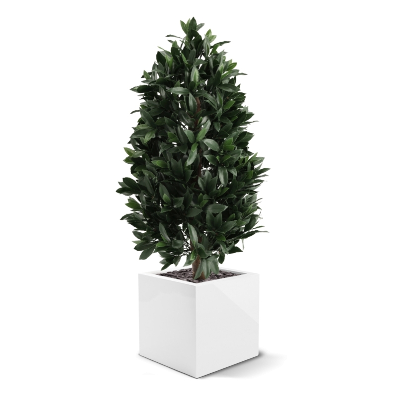 Piramide di Alloro Artificiale 105cm UV Deluxe