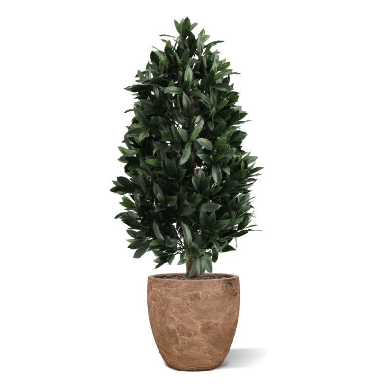 Piramide di Alloro Artificiale 105cm UV Deluxe