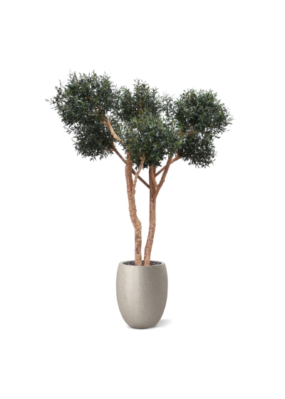 Olivo artificiale bonsai Deluxe 250cm