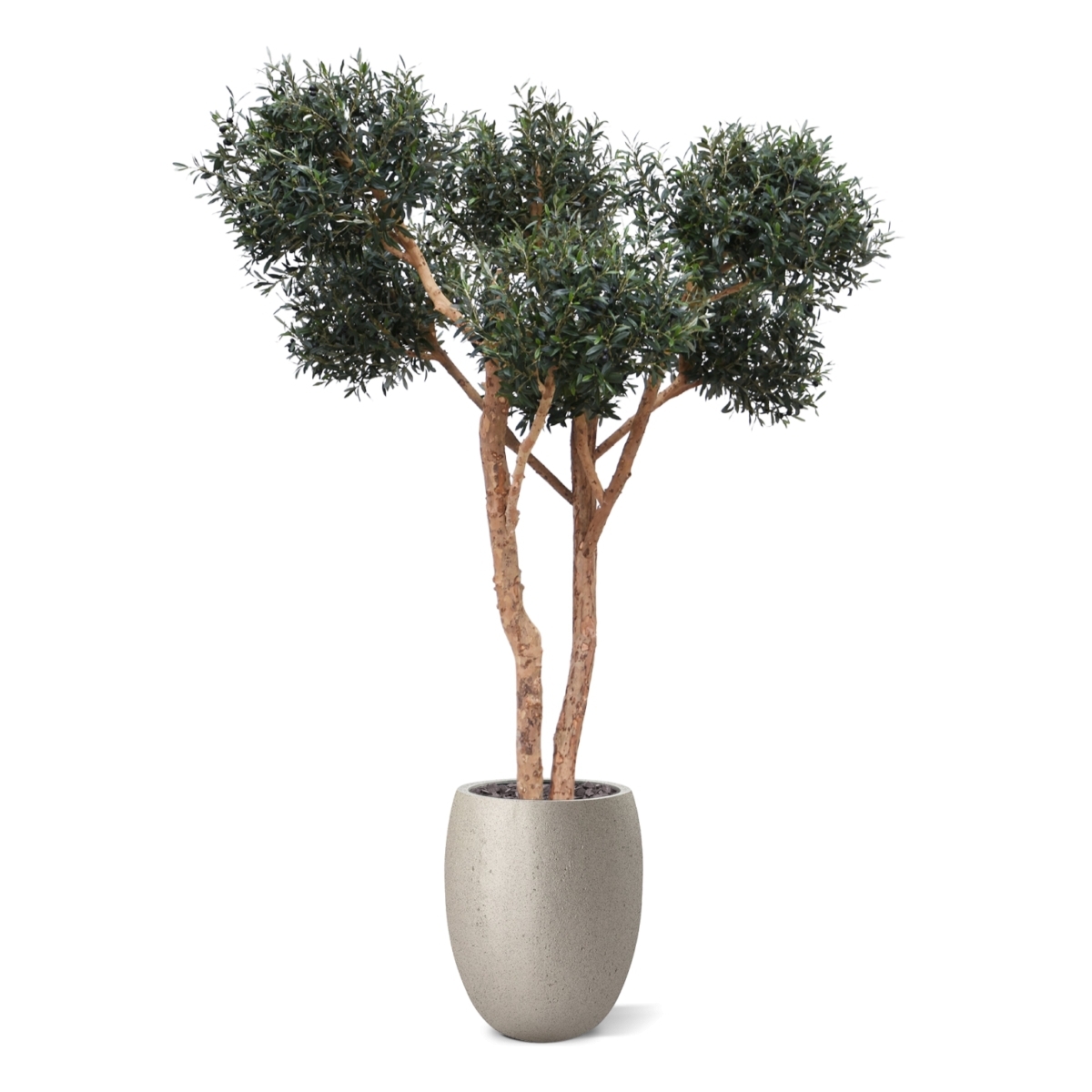 Olivo artificiale bonsai Deluxe 250cm