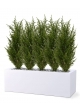 Pianta artificiale di conifera 50 cm