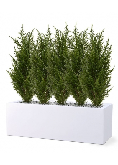 Pianta artificiale di conifera 50 cm